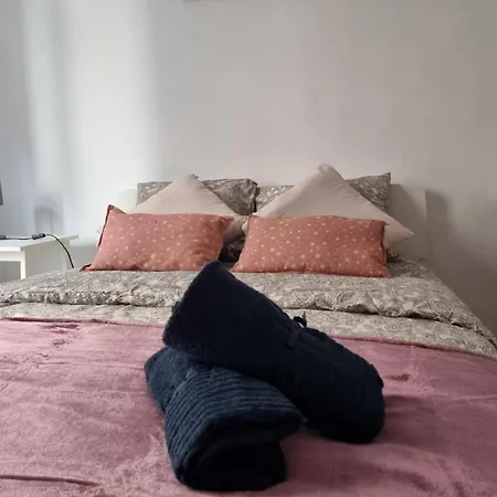 Ducq In Hostel *